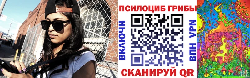 Псилоцибиновые грибы Cubensis  Осташков 